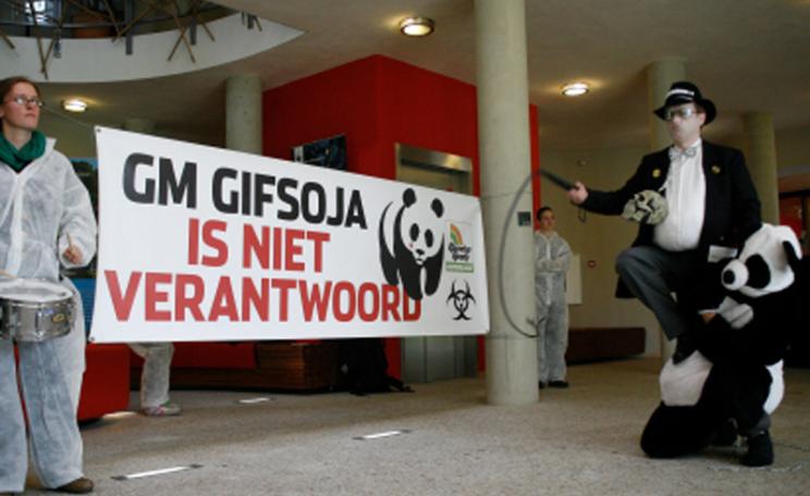 Protesters at WWF's Netherlands office hold a Monsanto 'circus' with a panda