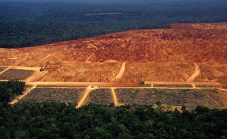 Logging in the Amazon