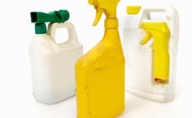  Common household pesticides were found in the urine of more than half of the participants but were higher in the children with leukemia.