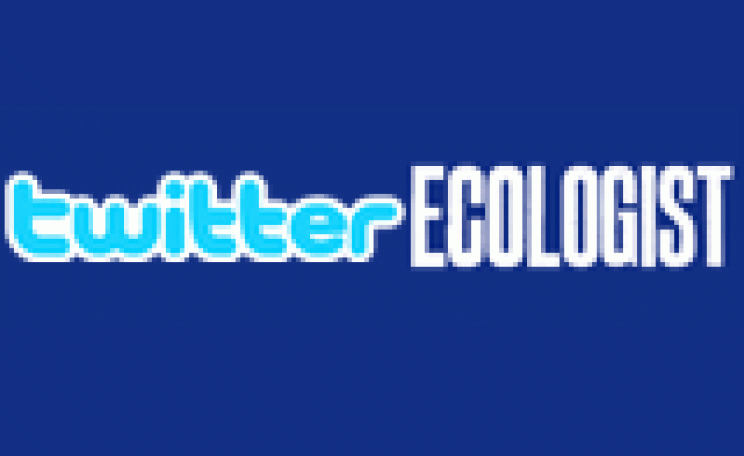 The Ecologist is now on twitter