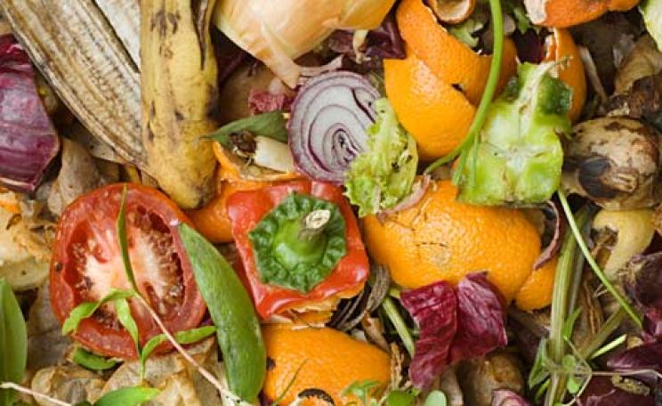 Food waste: valuable stuff