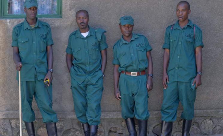 The Gishwati Forest 'eco-guards'