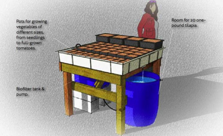 Diagram from The Aquaculture Guidebook