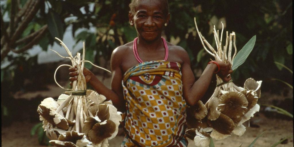 Towards an Indigenous economics - Vimarsana News