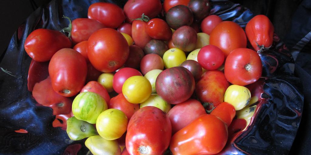 Degrowth is everywhere - Vimarsana News