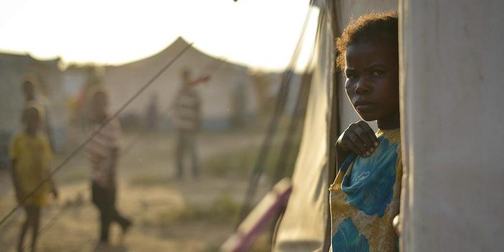 Refugee Environmental Protection Fund: fix or fiction? - Vimarsana News
